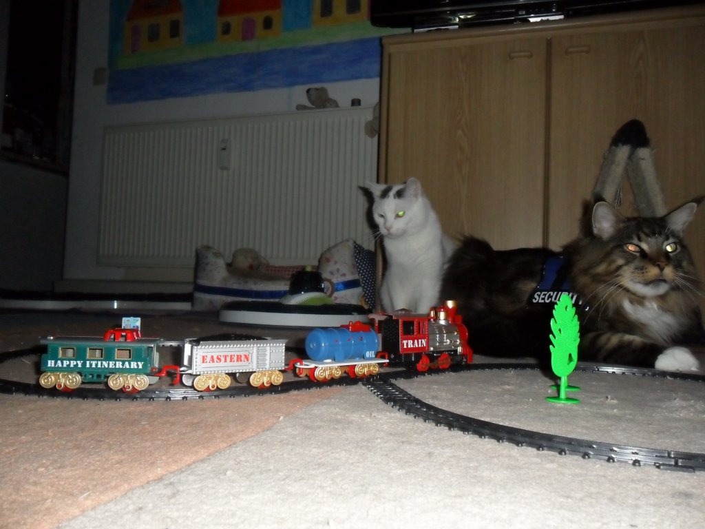 Cleo, Joschi und die Bahn