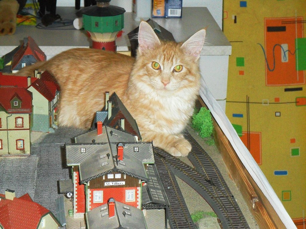 Garfield und die Eisenbahn
