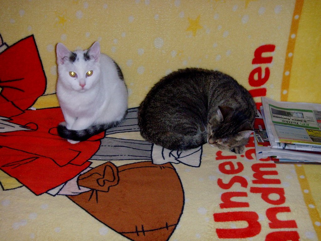 Katzenkind und Mausi Nov. 2010