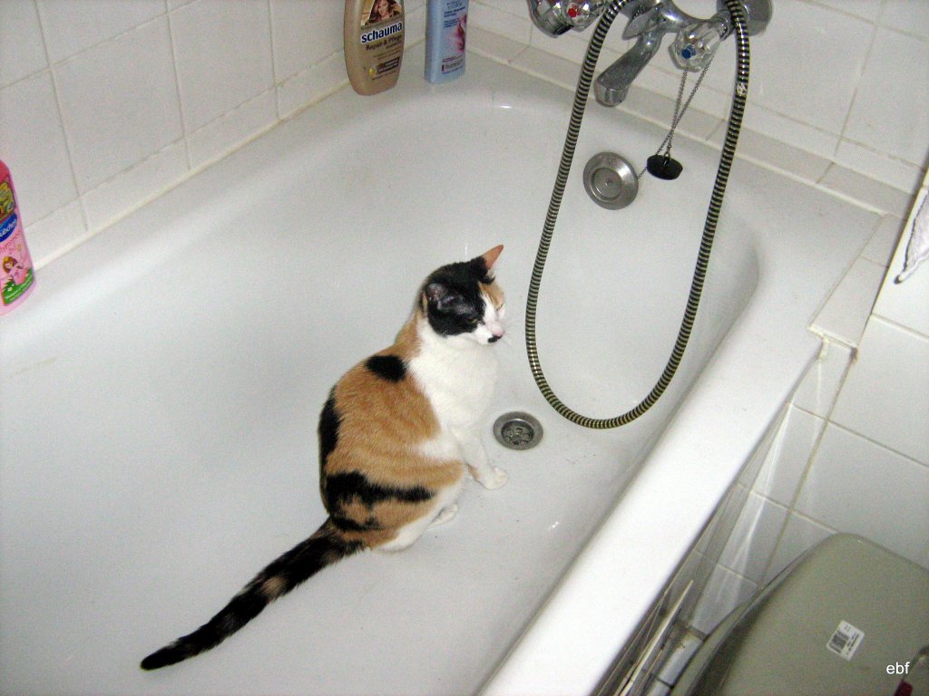 Marietta 2009 in der Badewanne
