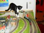 Kitty und die Bahn