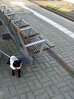 Maunzerle/138529/reisemaunzerle-wartet-auf-den-naechsten-zug Reisemaunzerle wartet auf den nchsten Zug