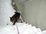 Joschi/109814/da-muss-ich-durch-den-schnee Da mu ich durch den Schnee !!